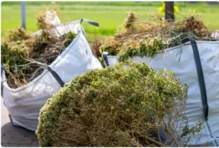 Retirada y Limpieza de poda en el mismo día!!