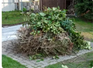 Retirada y Limpieza de poda en el mismo día!!