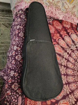Violín 3/4 con funda