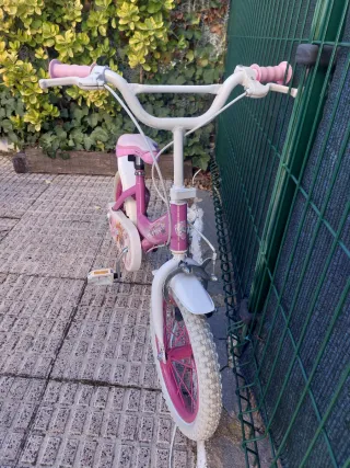 Bicicleta Patrulla Canina 14 pulgadas con ruedines