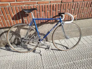 Bicicleta Xabigo Azul o solo cuadro