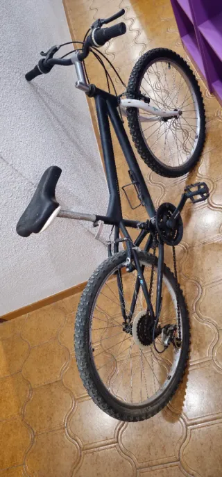 Bicicleta de Montaña