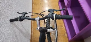 Bicicleta de Montaña