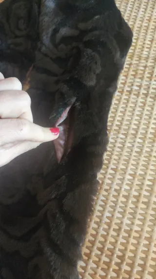 Estola negra de pelo sintético con diseño floral