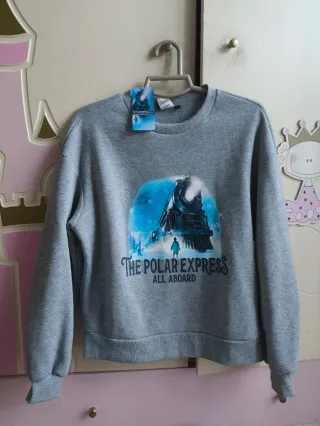 Sudadera The Polar Express Gris