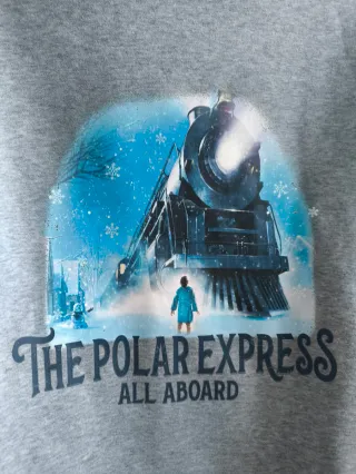 Sudadera The Polar Express Gris