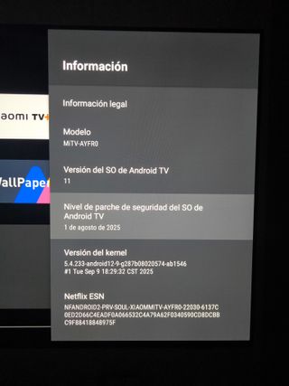 Xiaomi TV Stick 4K Android TV + accesorios viaje