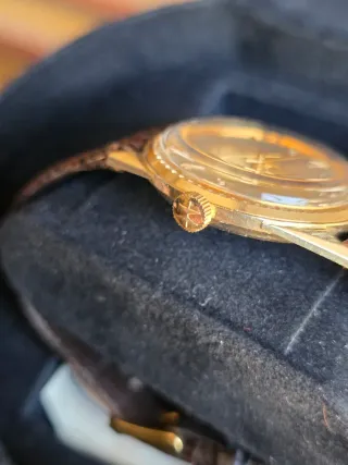 Hamilton 14kt
