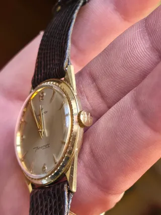Hamilton 14kt