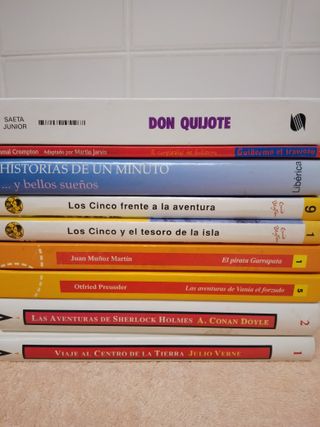 LOTE DE 9 LIBROS JUVENILES