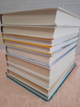 LOTE DE 9 LIBROS JUVENILES