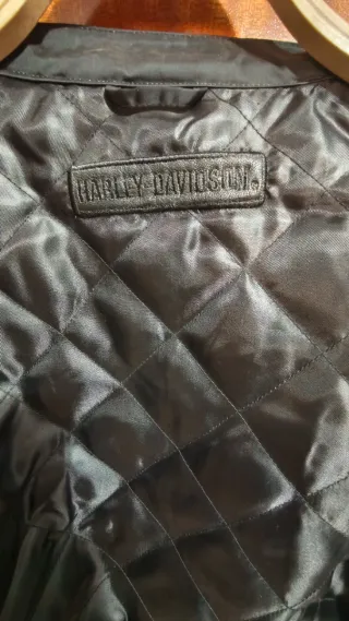 Chaqueta Harley Davidson Chica de entretiempo T-L