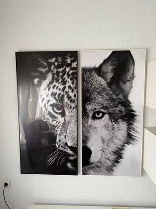 Cuadros de animales en blanco y negro