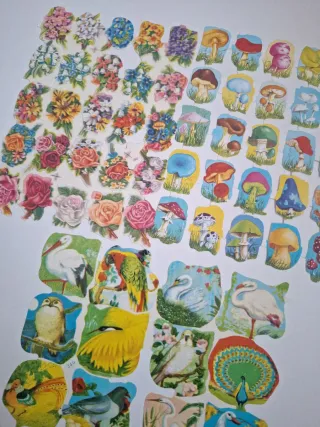 5 Láminas Cromos Vintage Colección