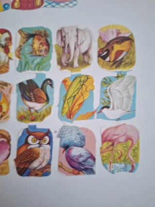 5 Láminas Cromos Vintage Colección