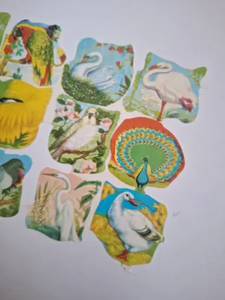 5 Láminas Cromos Vintage Colección