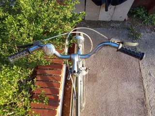 Bicicleta Calmera Gacela 80's