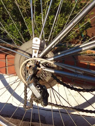 Bicicleta Calmera Gacela 80's