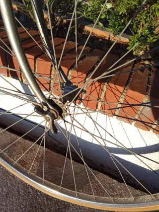 Bicicleta Calmera Gacela 80's