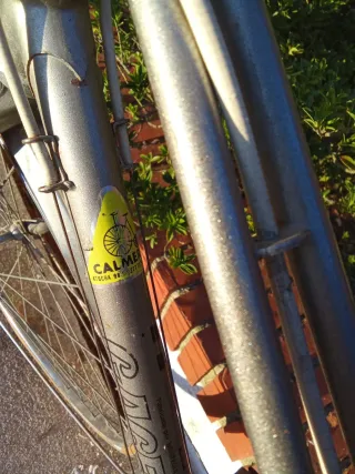 Bicicleta Calmera Gacela 80's