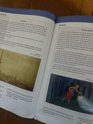 Lengua Castellana y Literatura 2º Bachillerato