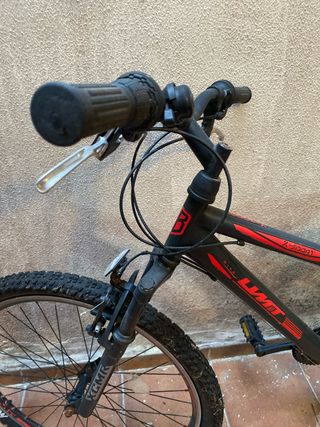 Bicicleta infantil X-Sport