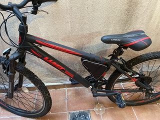 Bicicleta infantil X-Sport