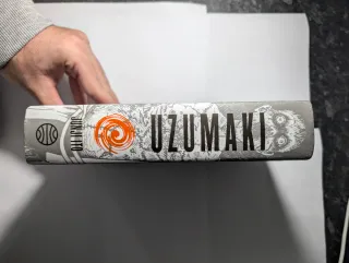 Uzumaki Integral: Espiral