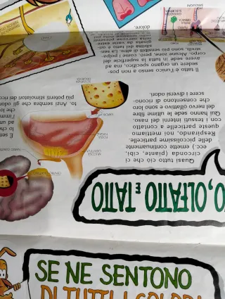 Album figurine Esplorando il Corpo Umano