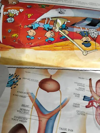 Album figurine Esplorando il Corpo Umano