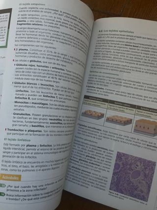 Inicia Biología y Geología 1.º Bachillerato. Li...