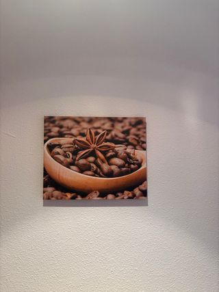 Cuadro Decorativo Café y Anís