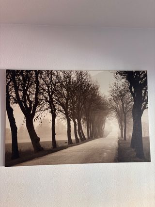 Cuadro decorativo árboles camino sepia