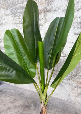 Planta artificial Banano con maceta negro 160 cm