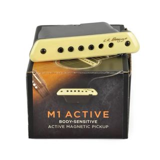 Pastilla Guitarra LR Baggs M1 Active