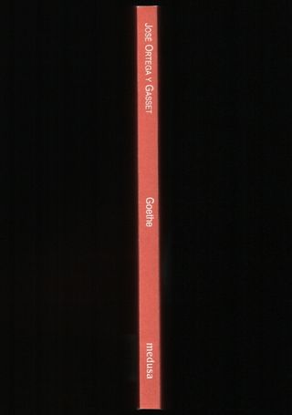 J. Ortega y Gasset GOETHE Un ritratto dall'interno