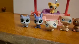 LPS Mini 6 Muñecos y Sombrilla
