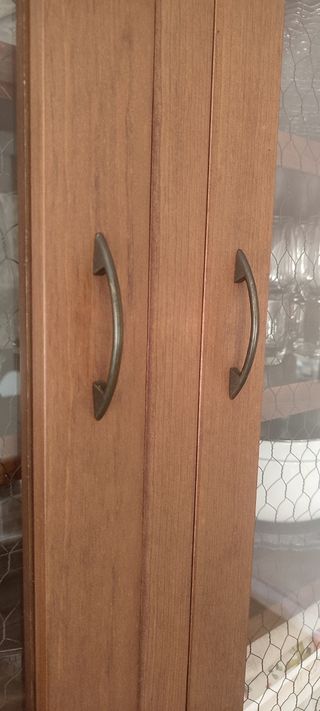 Vitrina de madera y cristal