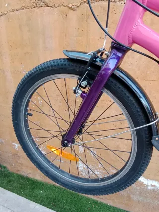 Bici infantil Trek Wahoo de 20"