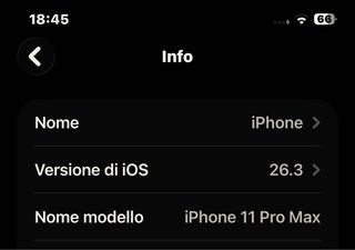 iPhone 11 Pro Max Space Gray