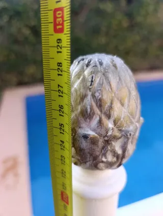 Cabecero de hierro forjado antiguo