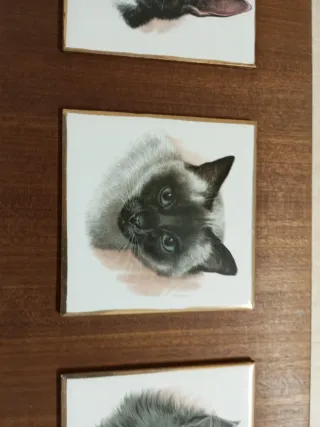 Cuadro Decorativo Gatos Cerámica y Madera