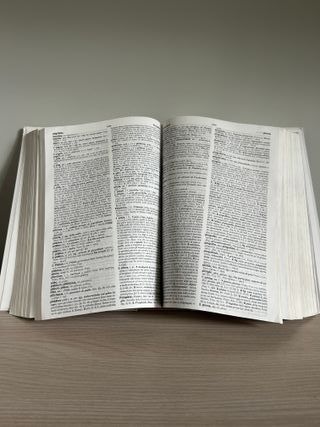 Il vocabolario della lingua latina. Latino-ital...