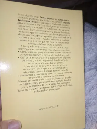 Los Seis Pilares de la Autoestima