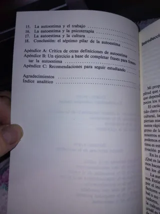 Los Seis Pilares de la Autoestima