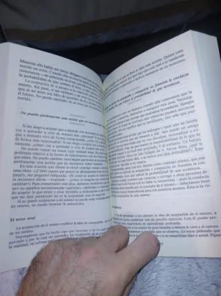 Los Seis Pilares de la Autoestima