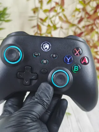 Controller Wireless per Nintendo Switch/PC/Android