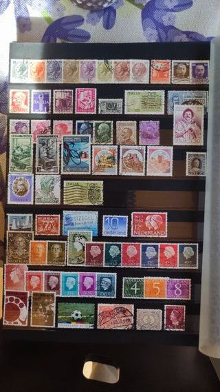 Álbum para Sellos Extranjeros Azul