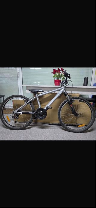 Bicicleta de montaña plateada