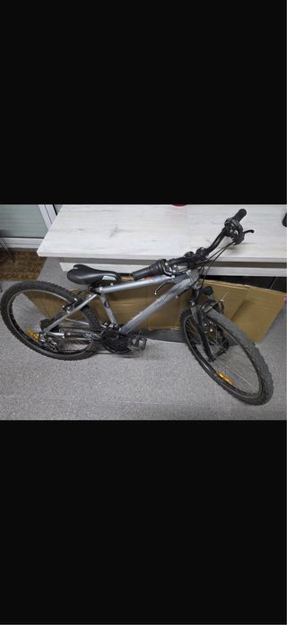 Bicicleta de montaña plateada